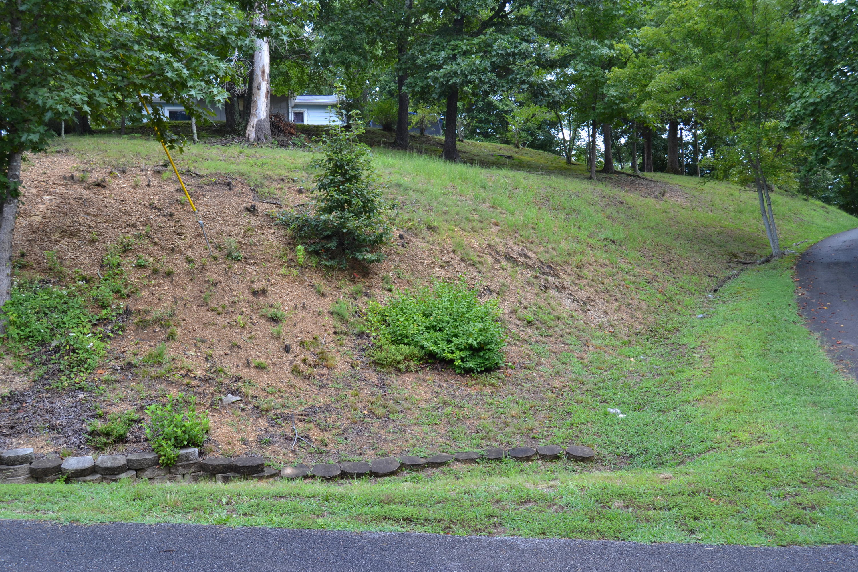 2507 Ridge Road Pigeon Forge, TN 37863 - Photo 5 of 29 DSC_0142