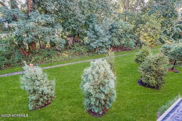 a garden with lots of trees