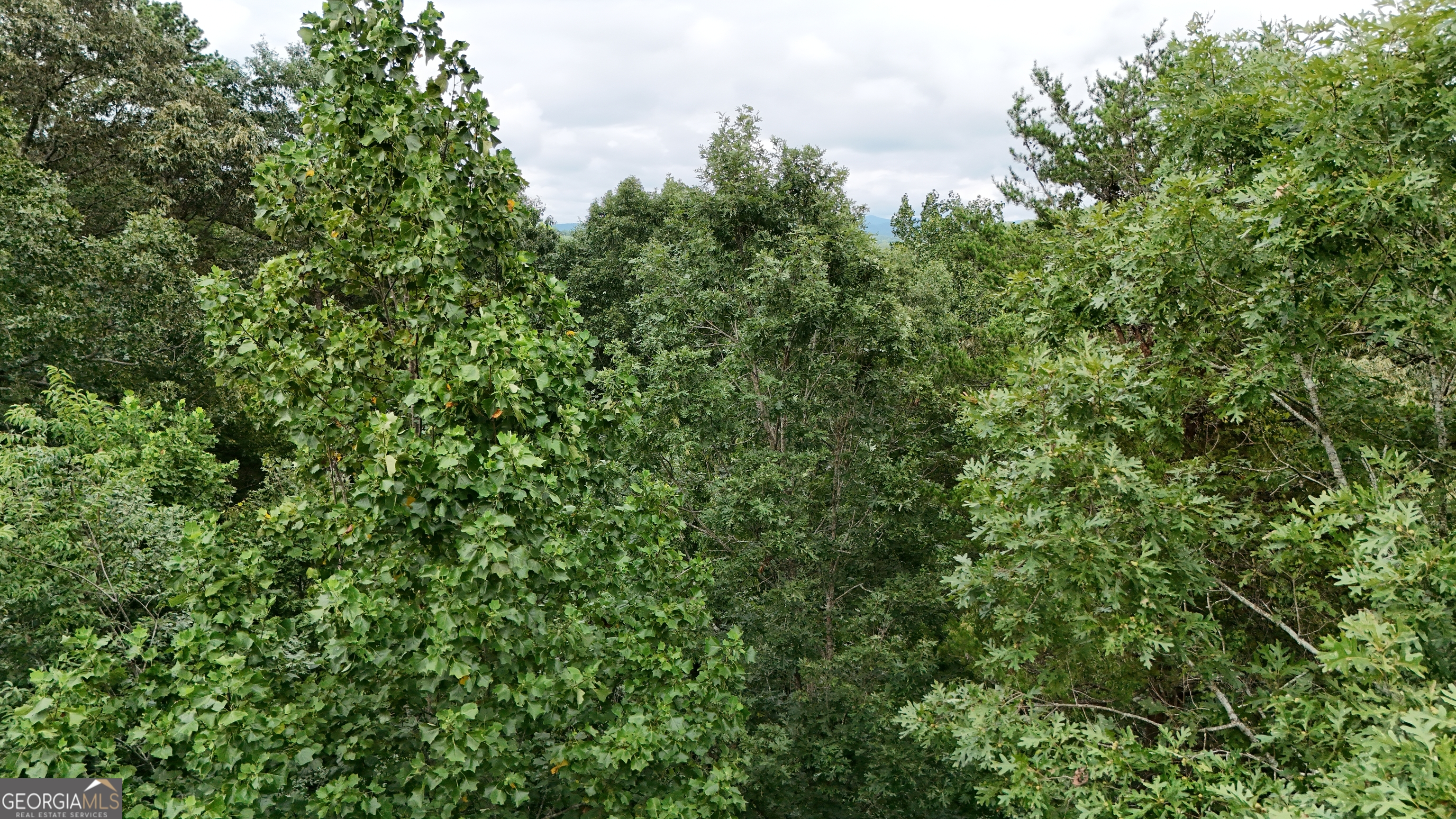 Lot 16 Morris Trail Cleveland, GA 30528 - Photo 3 of 5