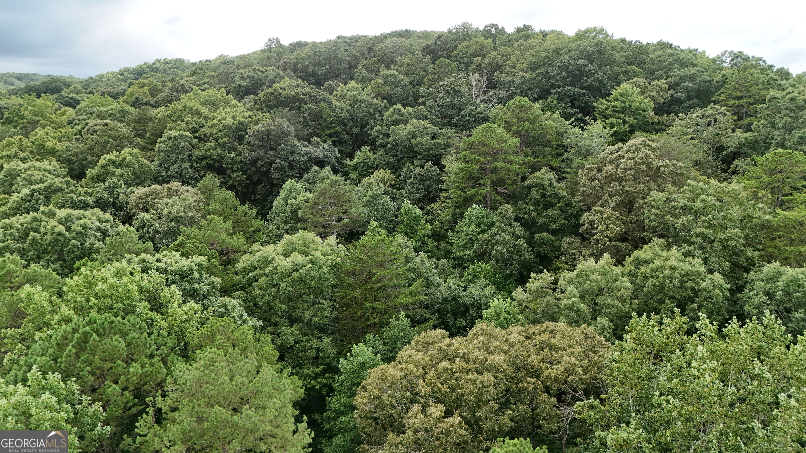 Lot 16 Morris Trail Cleveland, GA 30528 - Photo 5 of 5