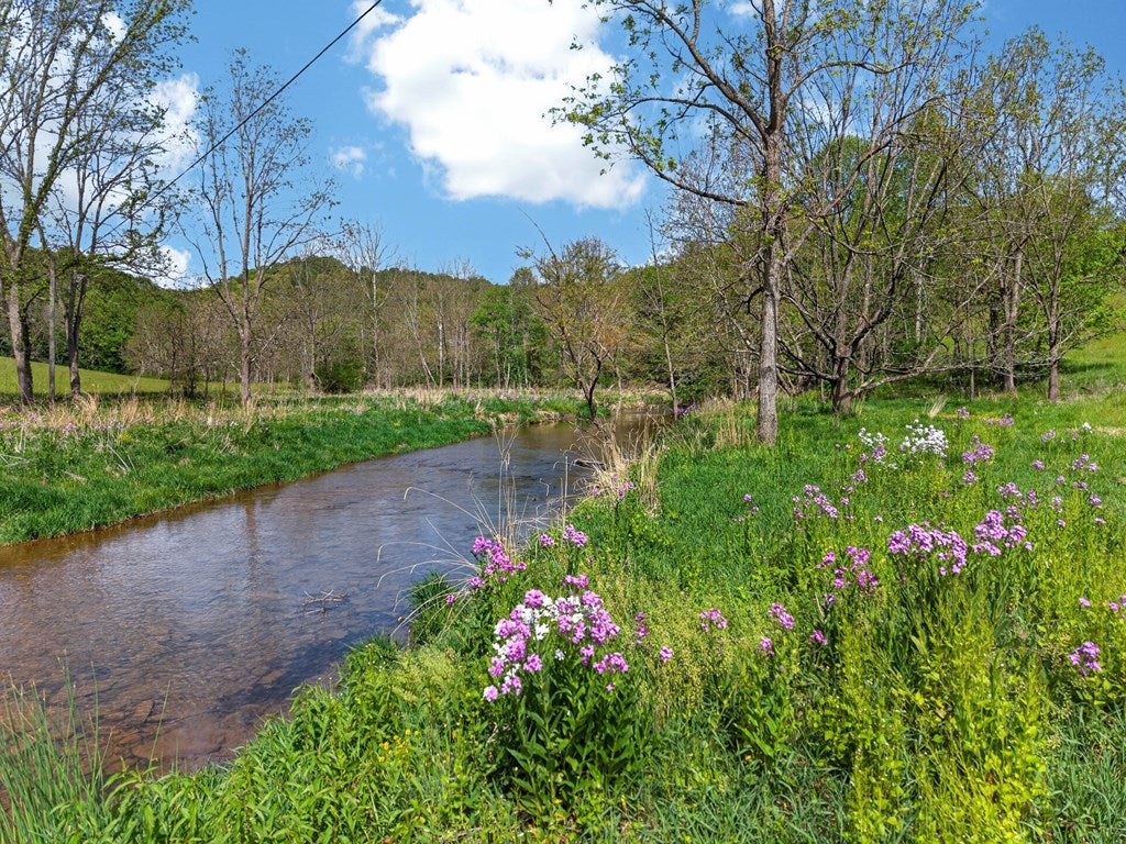 1366 Sunset River Road Ceres, VA 24318 - Photo 56 of 67 Gallery Image 56