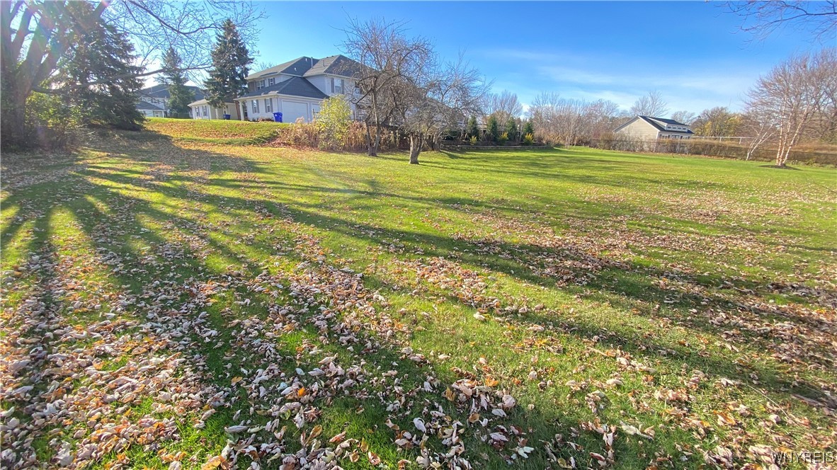 3087 Cloverbank Road Hamburg, NY 14075 - Photo 16 of 20 Yard