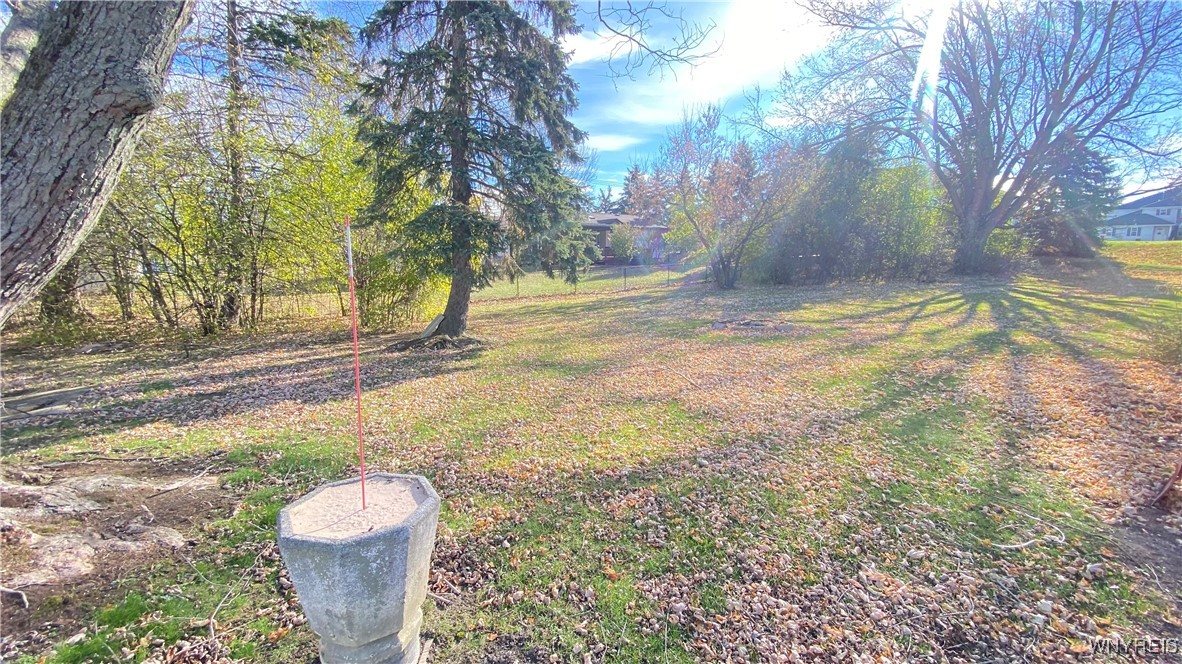 3087 Cloverbank Road Hamburg, NY 14075 - Photo 18 of 20 Yard