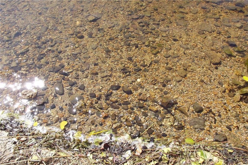 Tbd Tbd Off Saponac Pond Road Burlington, ME 04417 - Photo 20 of 22 Photo