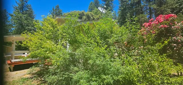 $440,000 | 21819 Todd Valley Road, Foresthill, CA 95631