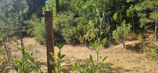 $440,000 | 21819 Todd Valley Road, Foresthill, CA 95631