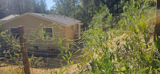 $440,000 | 21819 Todd Valley Road, Foresthill, CA 95631
