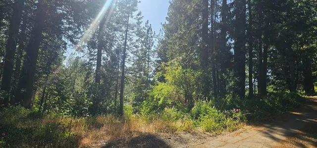 $440,000 | 21819 Todd Valley Road, Foresthill, CA 95631