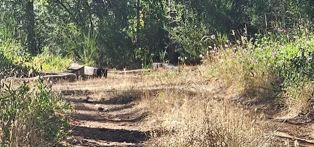 $440,000 | 21819 Todd Valley Road, Foresthill, CA 95631