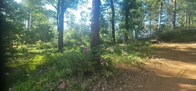 $440,000 | 21819 Todd Valley Road, Foresthill, CA 95631