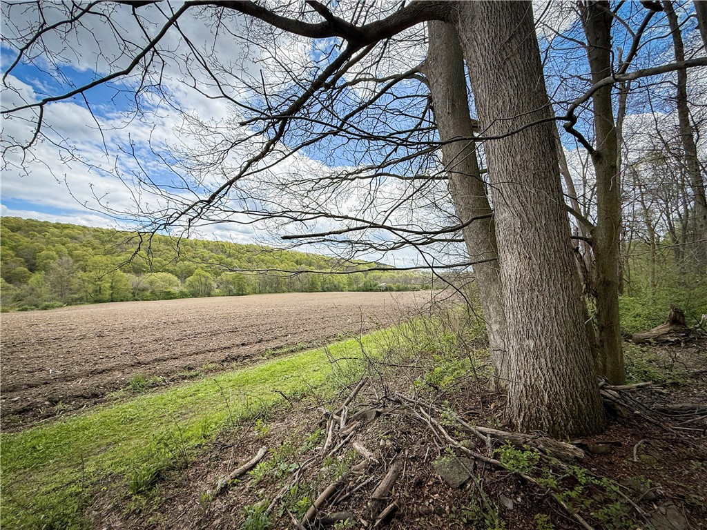 5360 Church Road Moravia, NY 13118 - Photo 40 of 50