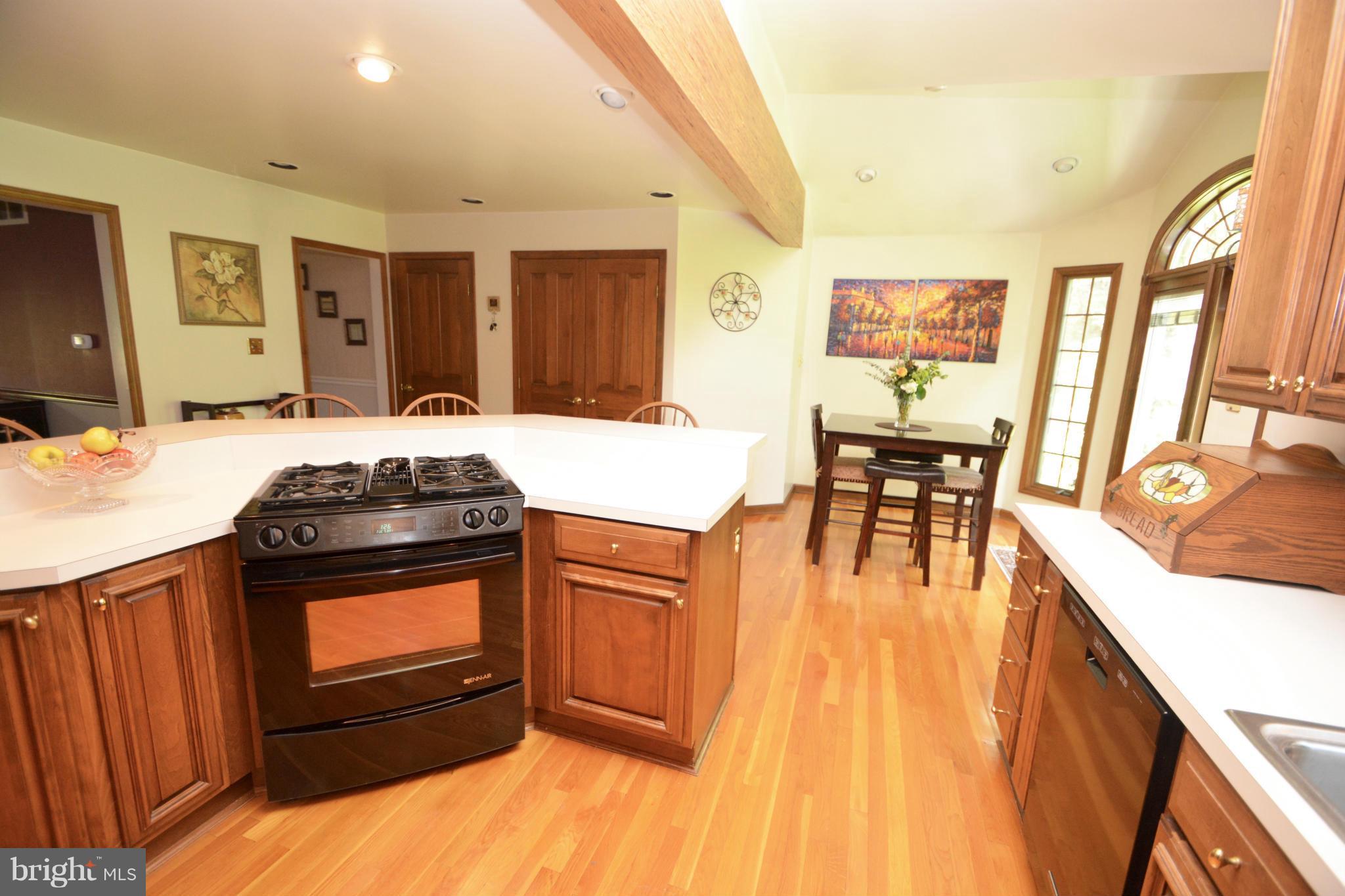 696 Little Egypt Road Elkton, MD 21921 - Photo 16 of 30 Kitchen