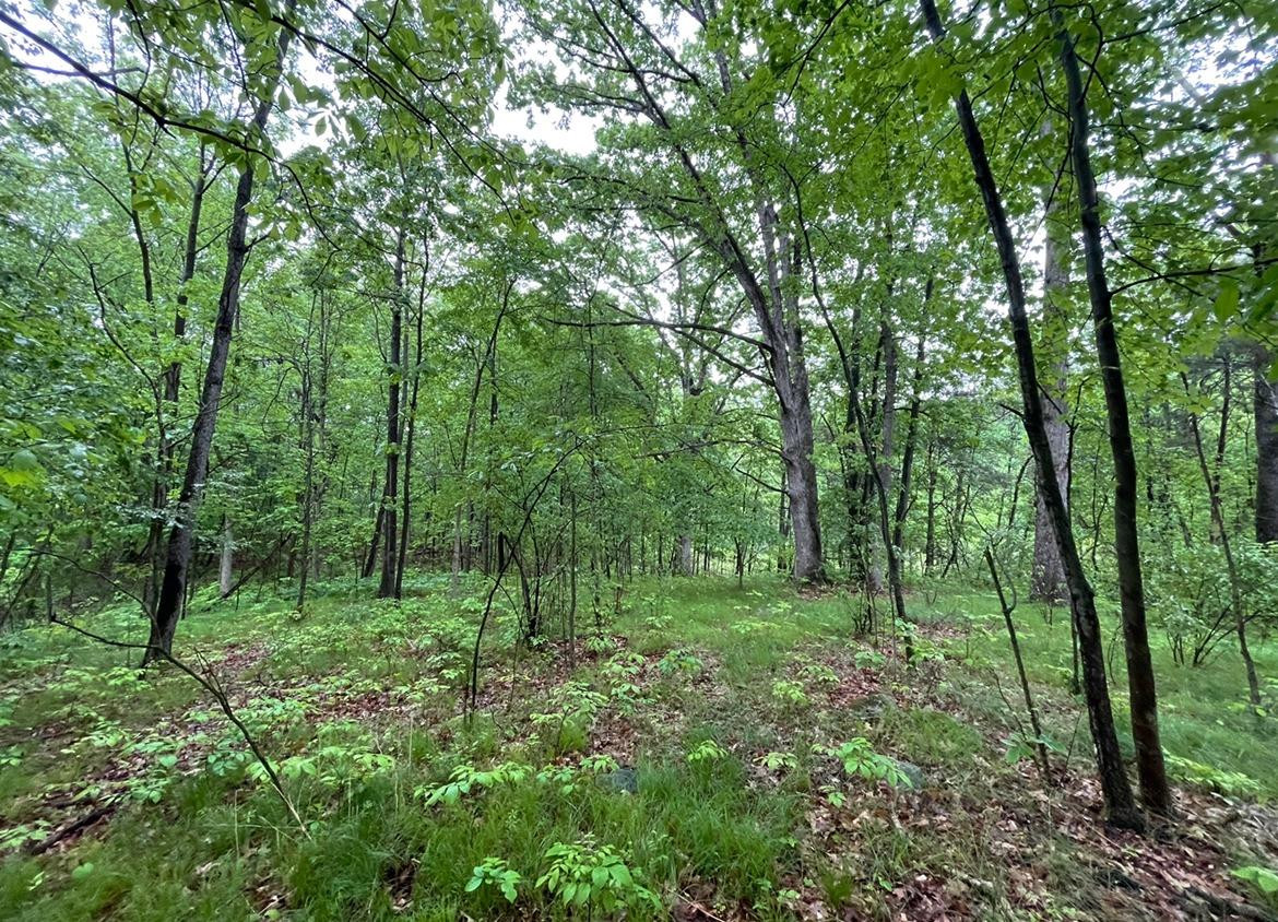 9460 Scully Road Whitmore Lake, MI 48189 - Photo 45 of 53 Photo 45
