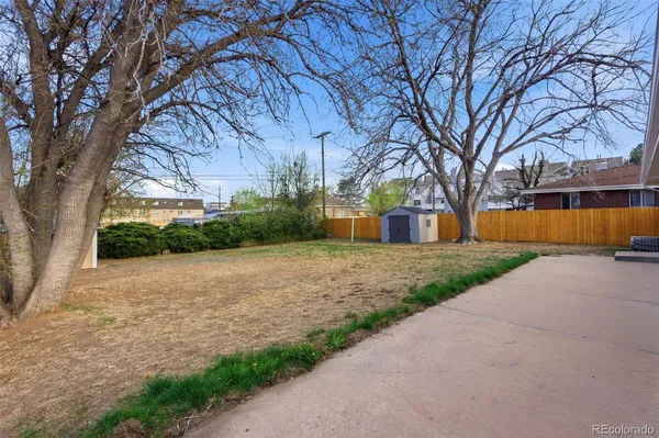 a view of a yard with plants and trees