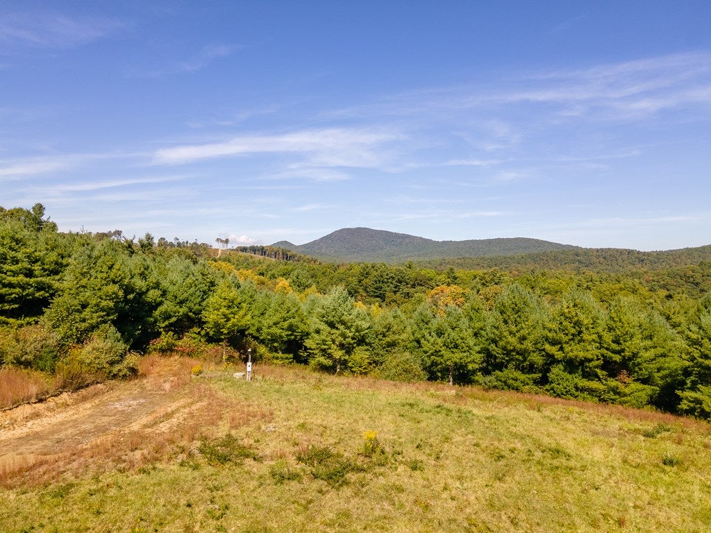 12.63-ac Shelor Road Southwest Meadows Of Dan, VA 24120 - Photo 4 of 16 Gallery Image 4