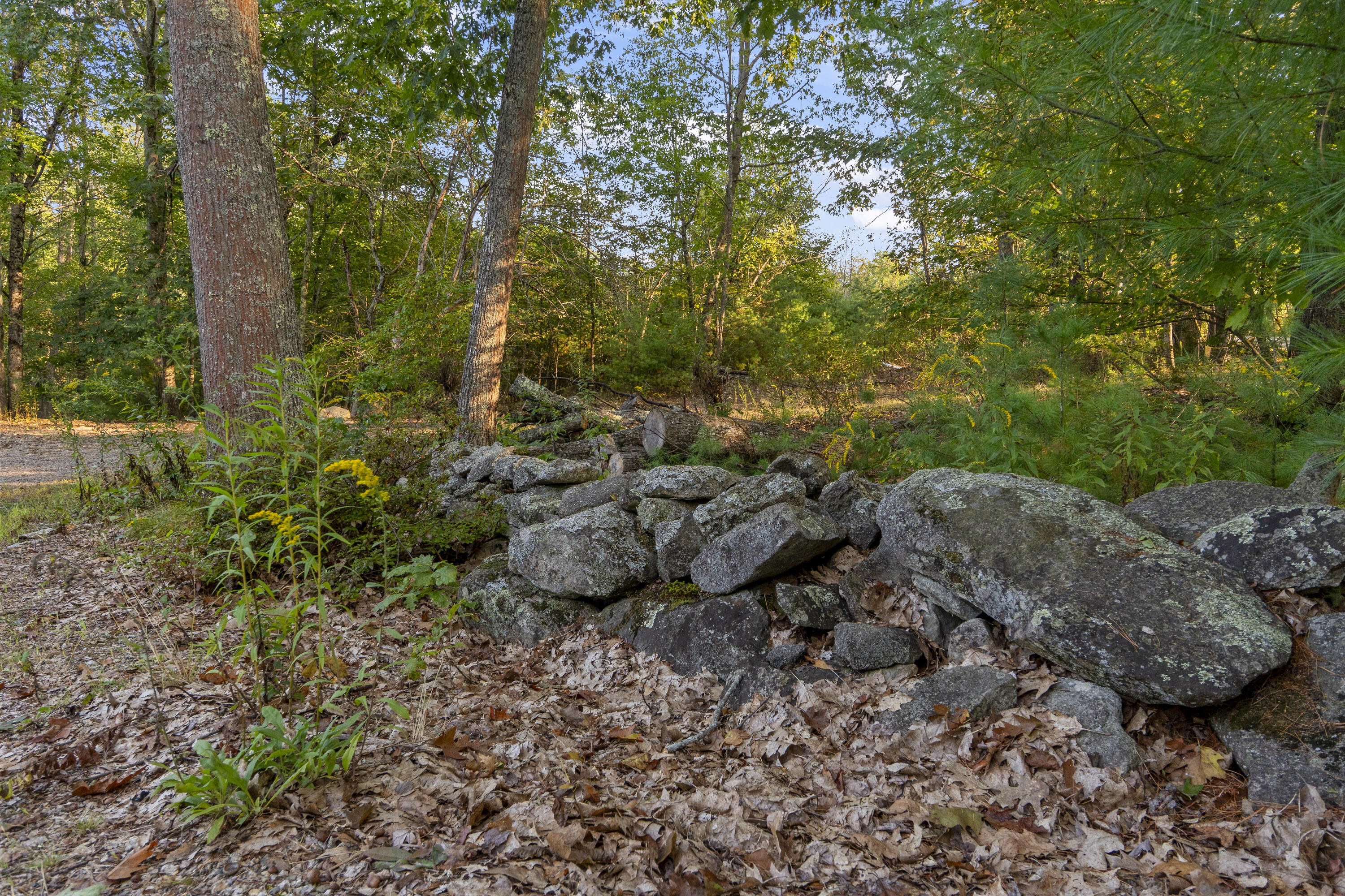 872 Cheney Woods Road Wells, ME 04090 - Photo 25 of 41 872 Cheney Woods Rd, Wells