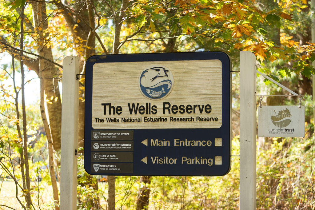 872 Cheney Woods Road Wells, ME 04090 - Photo 41 of 41 872 Cheney Woods Rd, Wells