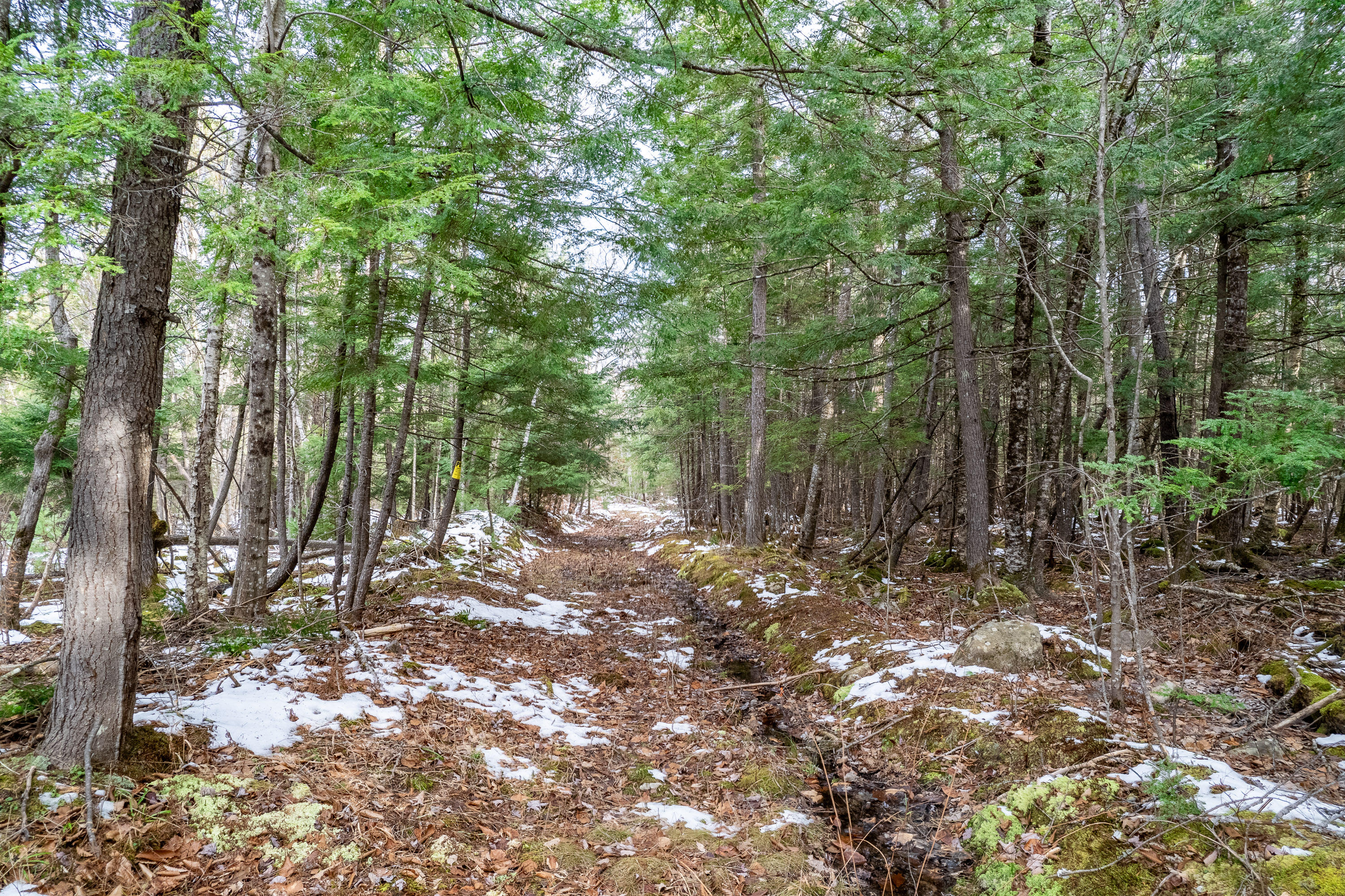 Tbd Hio Ridge Road Bridgton, ME 04009 - Photo 13 of 33 Hio Ridge Rd Bridgton_114