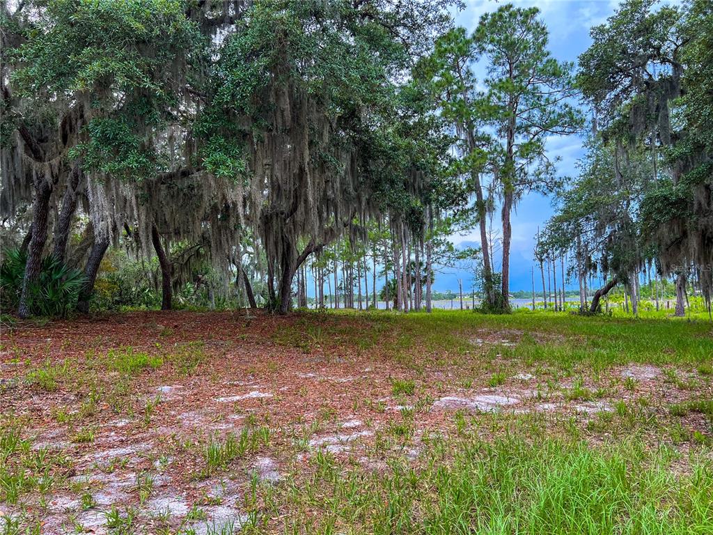 2332 Mitchell Island Road Deltona, FL 32738 - Photo 15 of 18