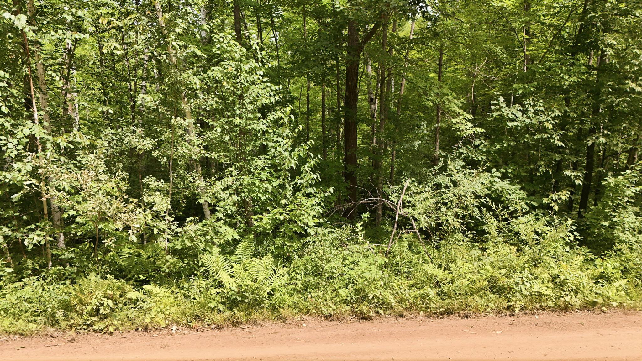 Tbd Taylor Birch Road Hinckley, MN 55037 - Photo 15 of 18 Gallery Image 15