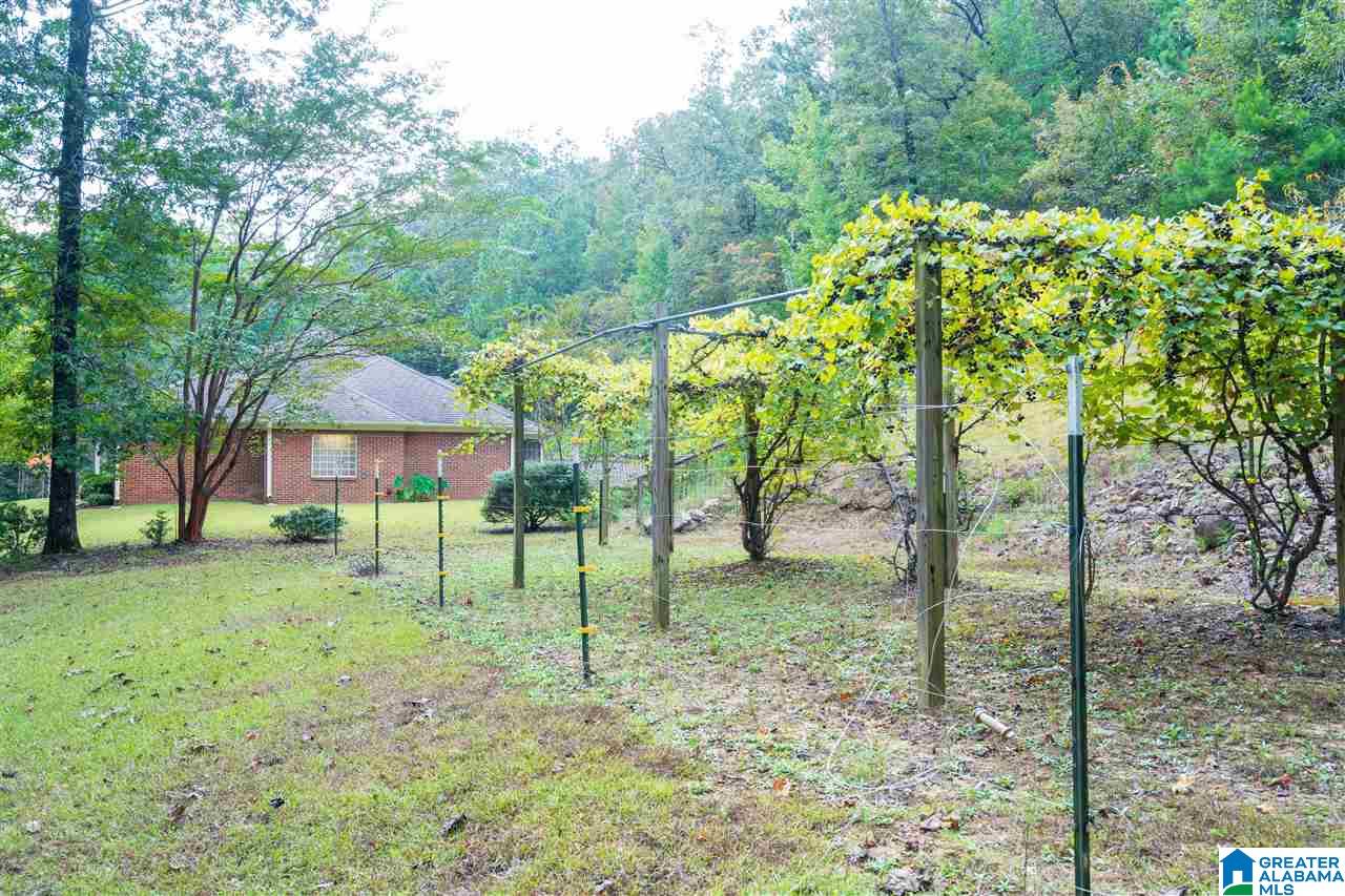 49 Ridgeview Lake Road Alabaster, AL 35007 - Photo 6 of 38