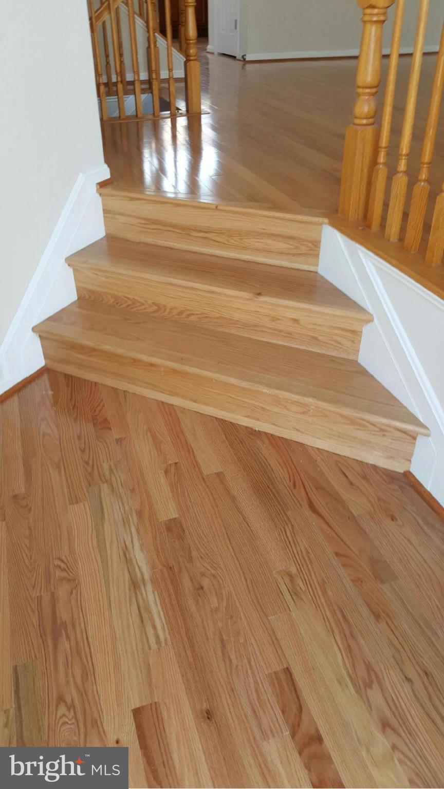 1859 Tubman Road Southeast Washington, DC 20020 - Photo 9 of 21 Interior (General)