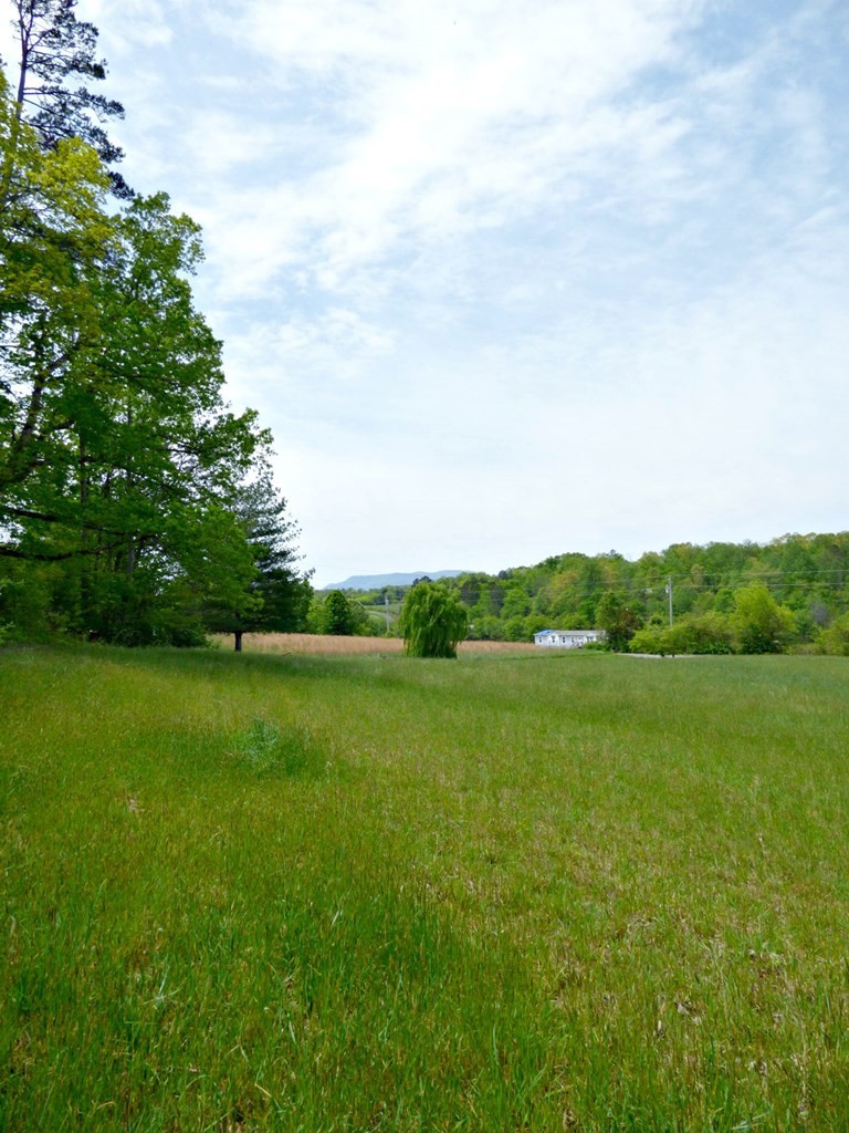 59 Camellia Road Newport, TN 37821 - Photo 5 of 13 Gallery Image 5