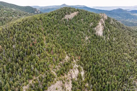 a view of a large tree