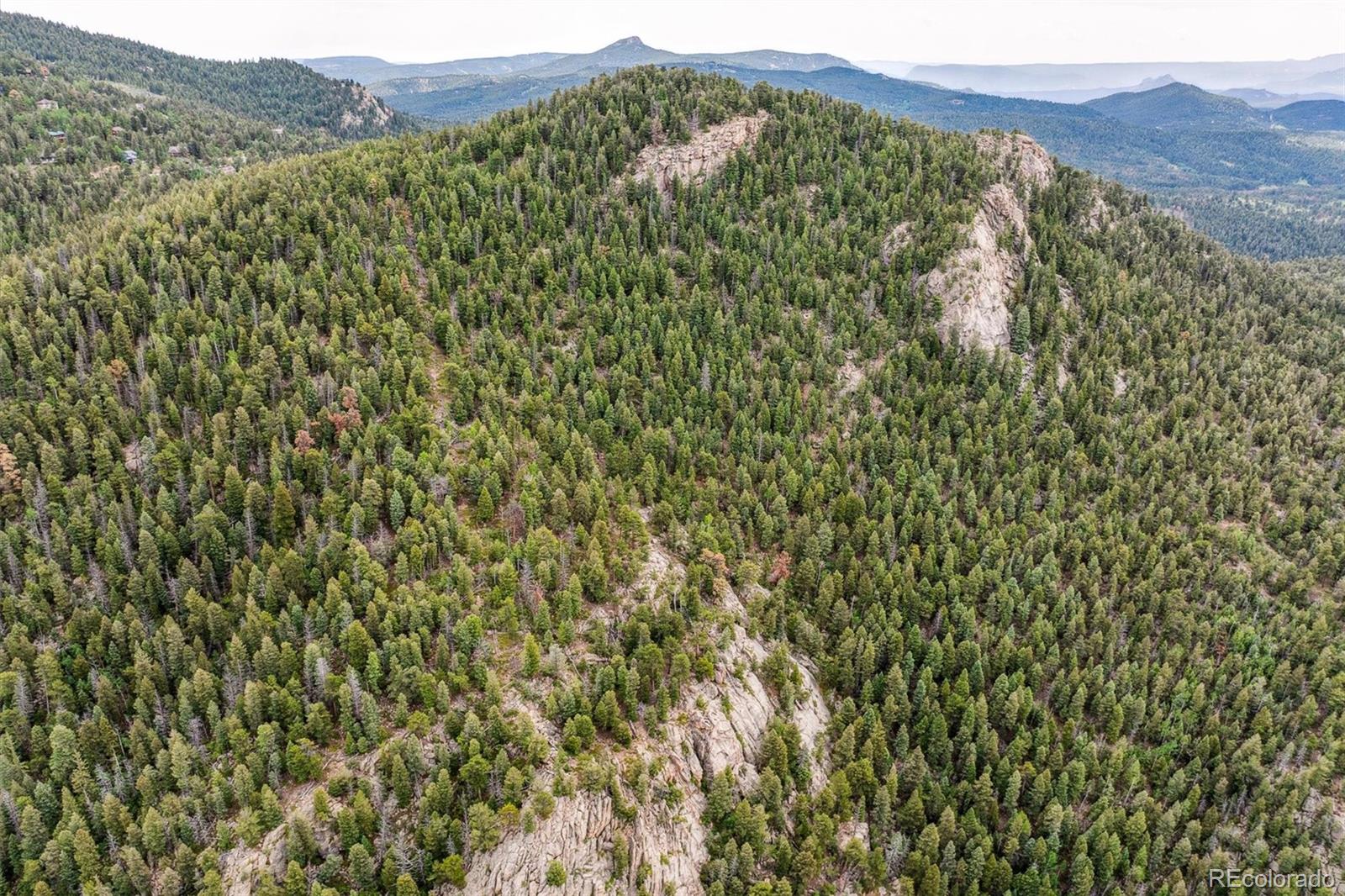 0 Pike View Drive Conifer, CO 80433 - Photo 2 of 31 a view of a large tree