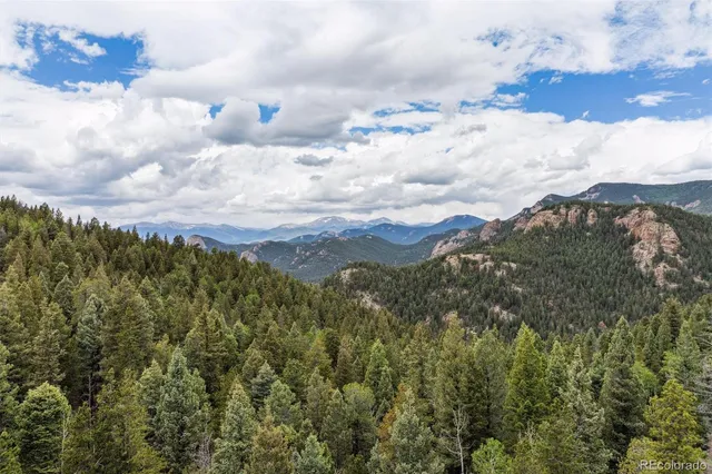 an aerial view of houses covered in trees