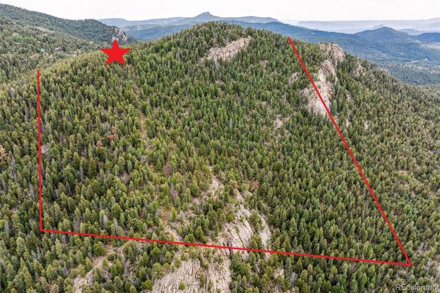 a view of a lush green field with a flower in a yard