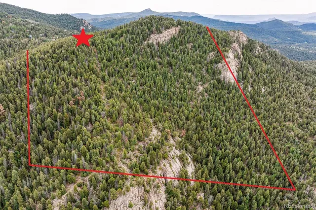 a view of a lush green field with a flower in a yard