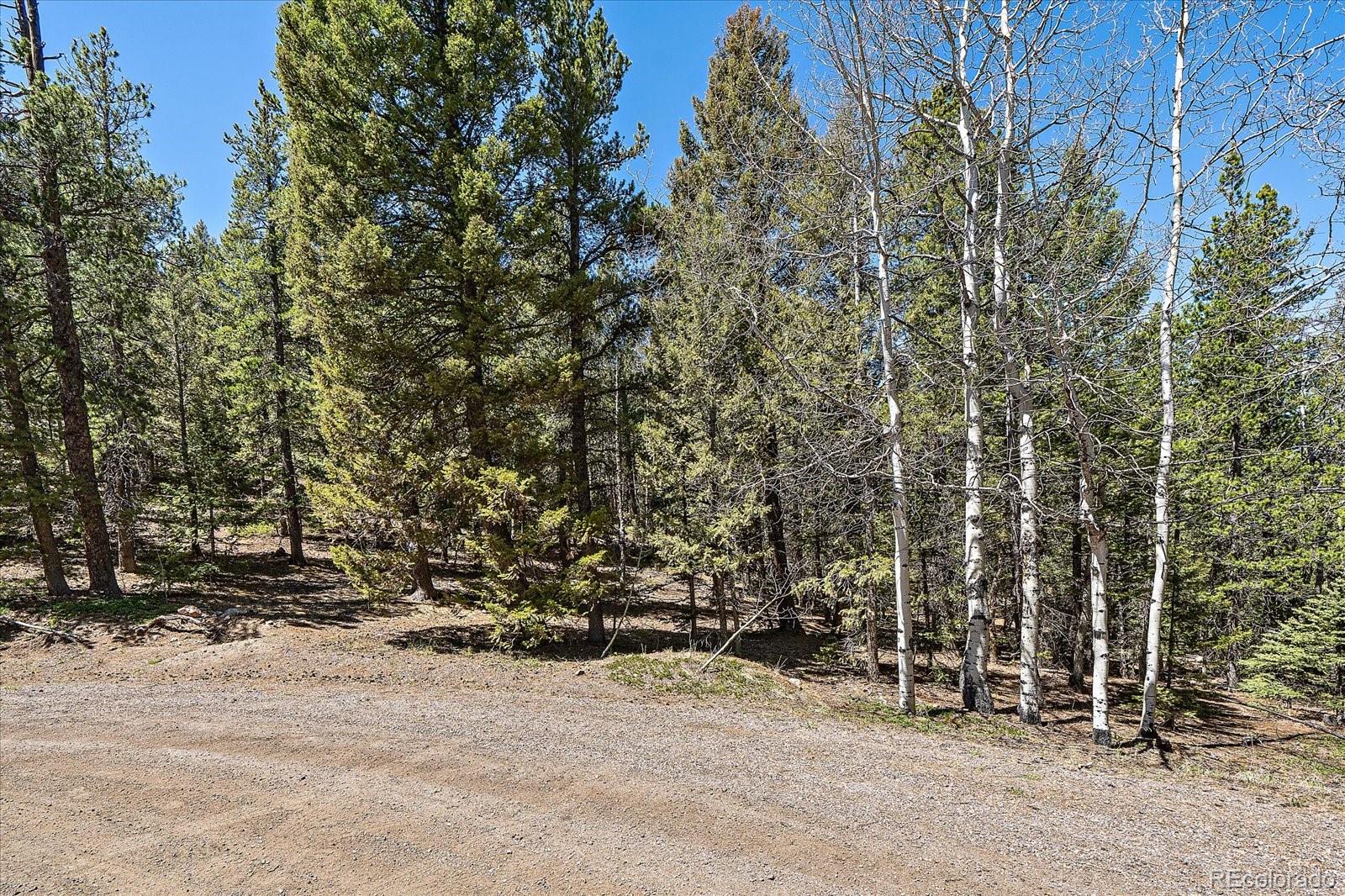 0 Pike View Drive Conifer, CO 80433 - Photo 31 of 31 a view of outdoor space and yard