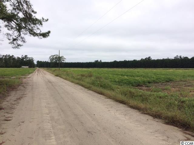 38.86-acs Tram Road Loris, SC 29569 - Photo 1 of 10 Gallery Image 1