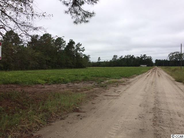 38.86-acs Tram Road Loris, SC 29569 - Photo 3 of 10 Gallery Image 3