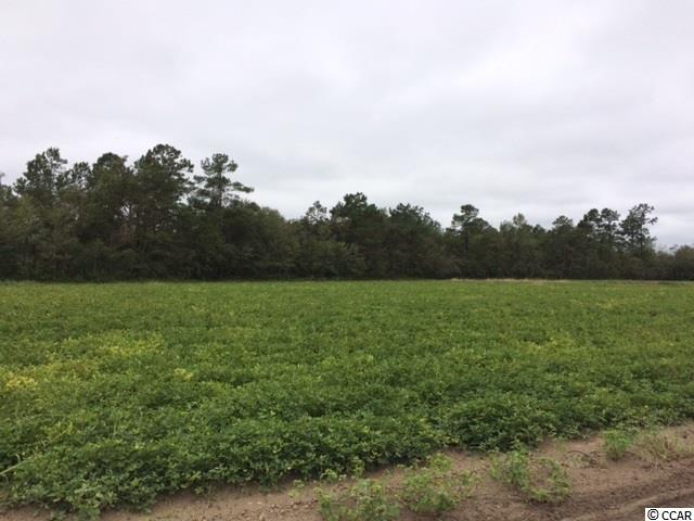 38.86-acs Tram Road Loris, SC 29569 - Photo 4 of 10 Gallery Image 4