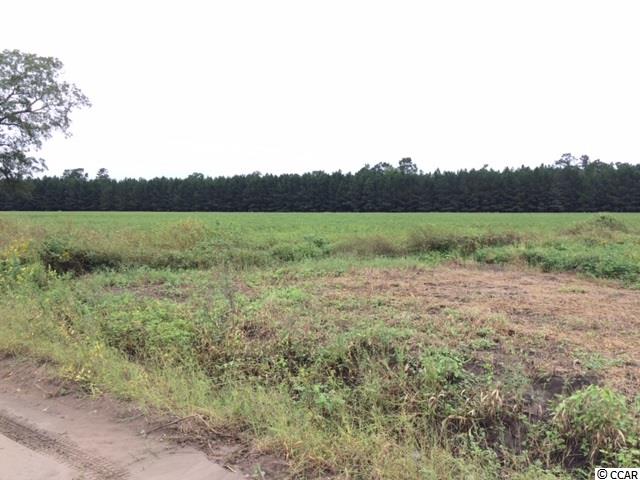 38.86-acs Tram Road Loris, SC 29569 - Photo 5 of 10 Gallery Image 5