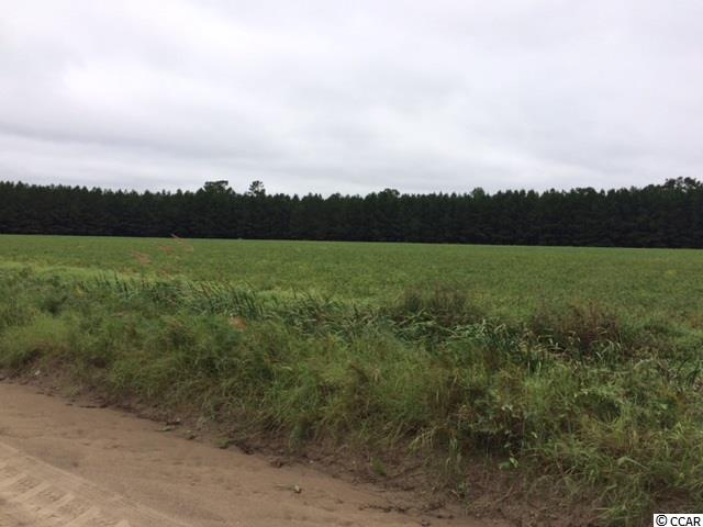 38.86-acs Tram Road Loris, SC 29569 - Photo 6 of 10 Gallery Image 6