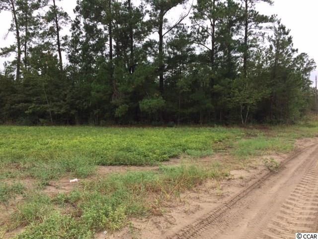 38.86-acs Tram Road Loris, SC 29569 - Photo 7 of 10 Gallery Image 7