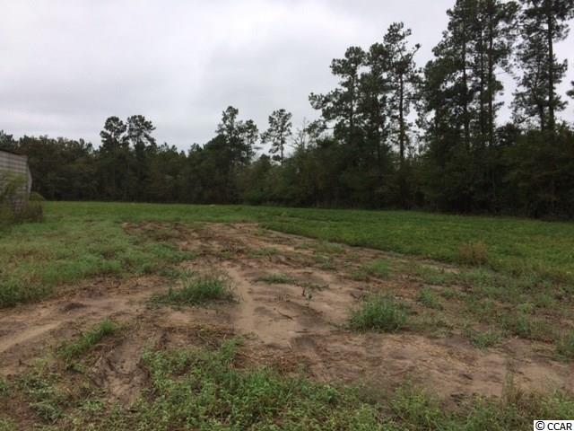 38.86-acs Tram Road Loris, SC 29569 - Photo 8 of 10 Gallery Image 8