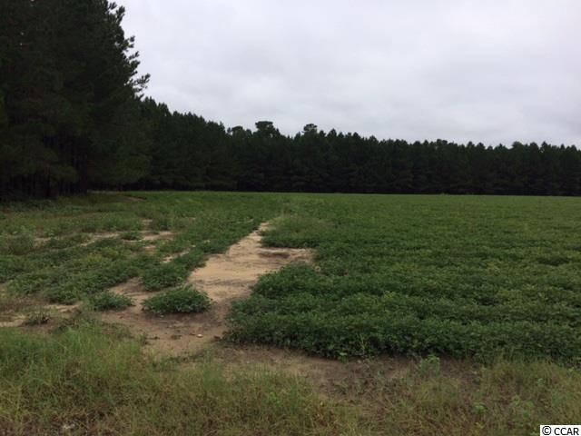 38.86-acs Tram Road Loris, SC 29569 - Photo 10 of 10 Gallery Image 10