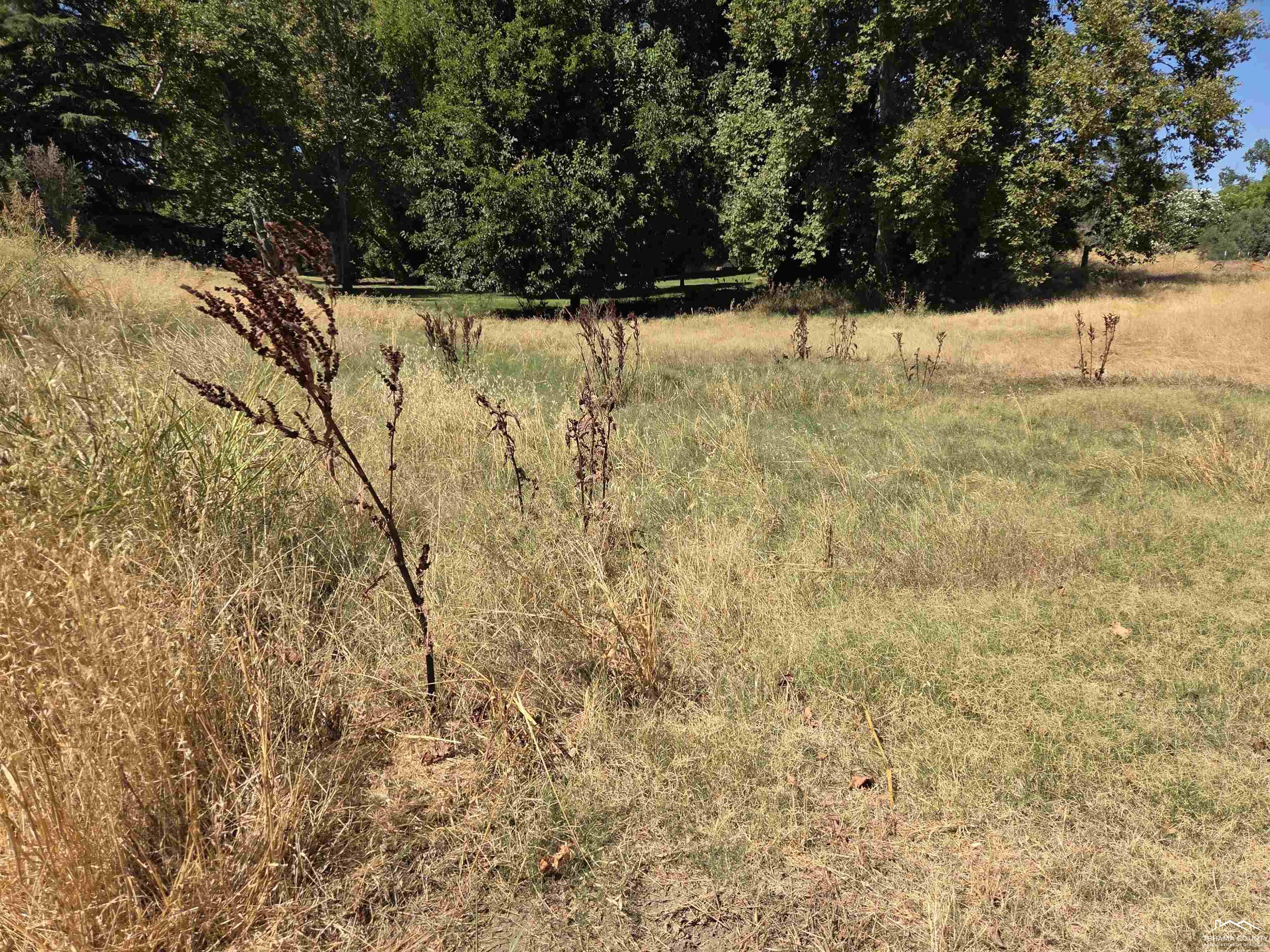 275 Howell Avenue Red Bluff, CA 96080 - Photo 7 of 8