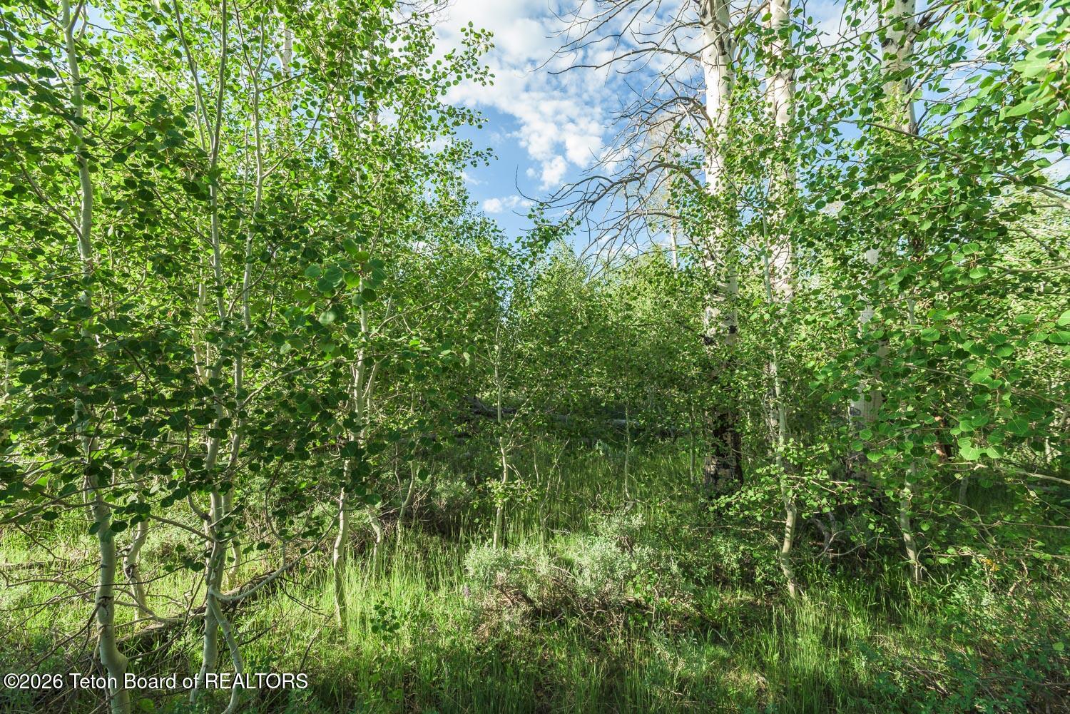 4 Aspen Ridge Road Daniel, WY 83115 - Photo 19 of 36 DSC_5271