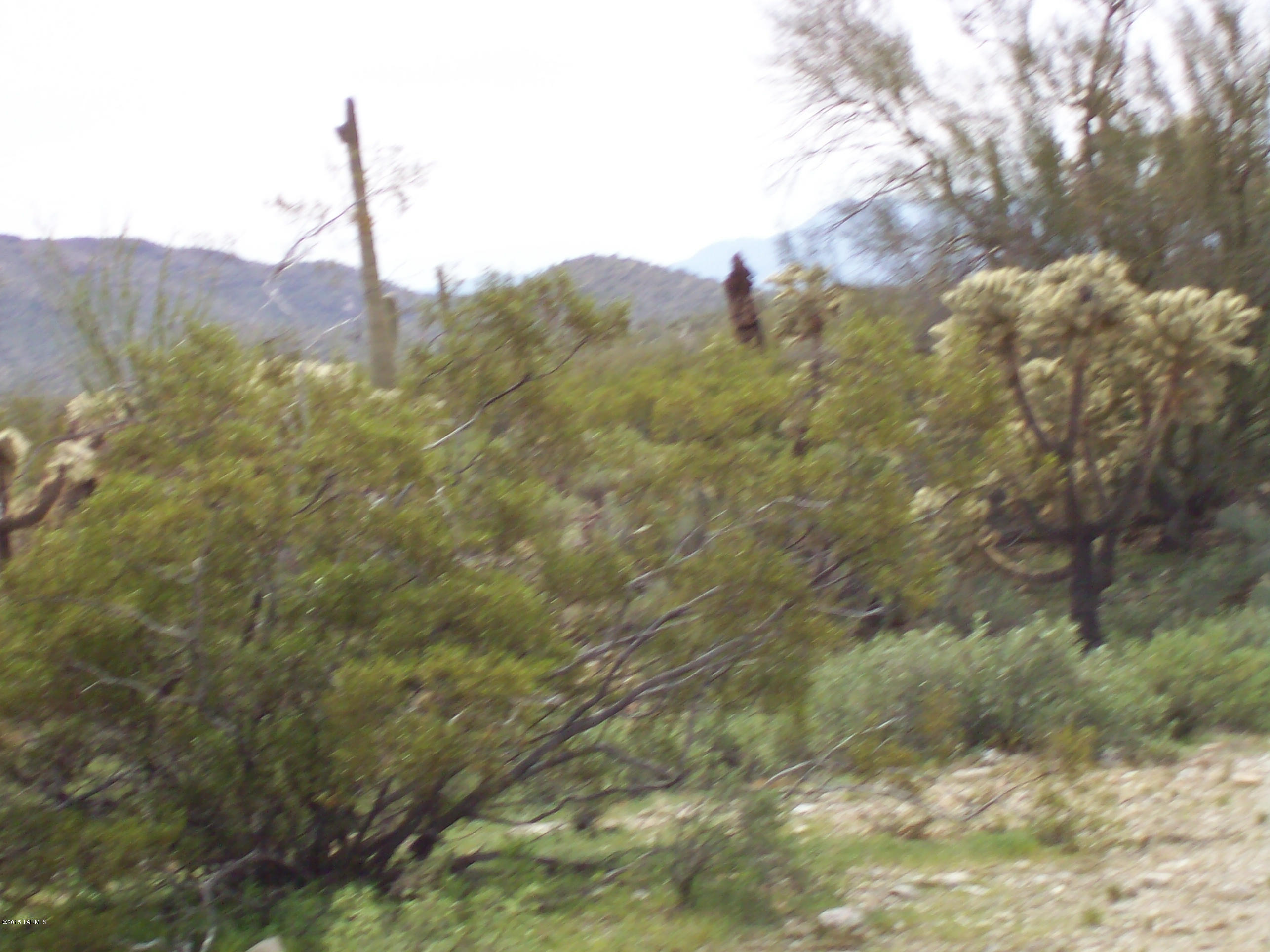 0 Derrio Road Marana, AZ 85658 - Photo 8 of 14