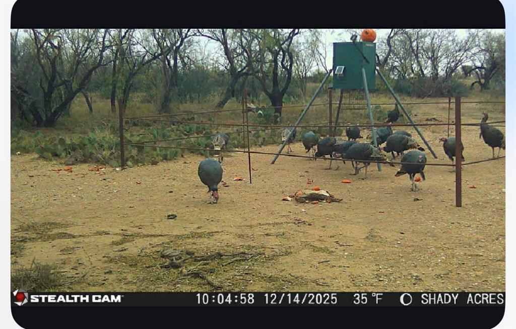 8108 Fm2111 Winters, TX 79567 - Photo 15 of 29 View of playground