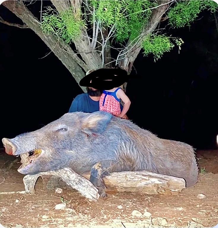 8108 Fm2111 Winters, TX 79567 - Photo 24 of 39