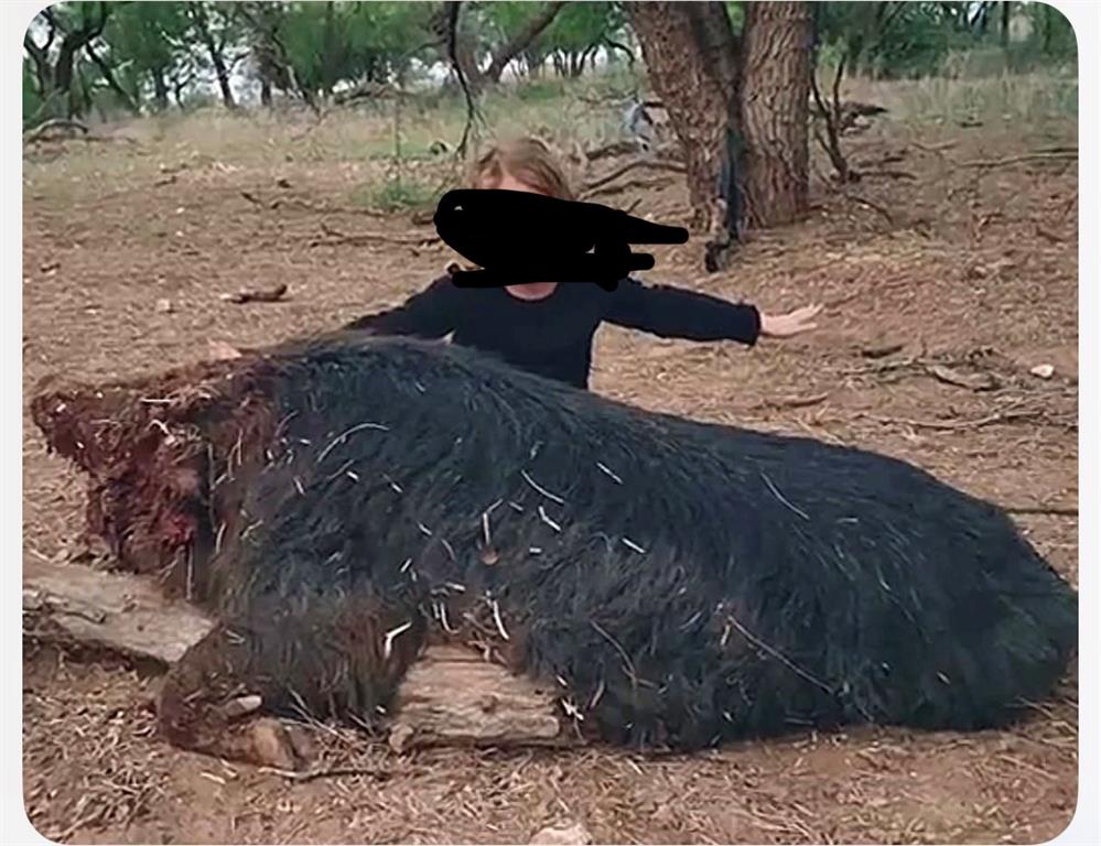 8108 Fm2111 Winters, TX 79567 - Photo 25 of 39 a view of a backyard