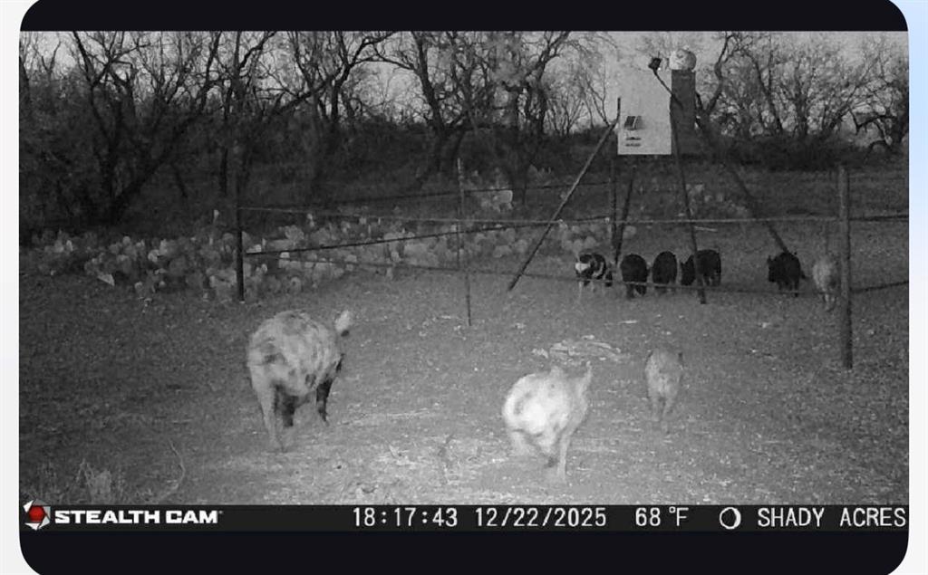 8108 Fm2111 Winters, TX 79567 - Photo 27 of 39 a view of a fireplace in a room