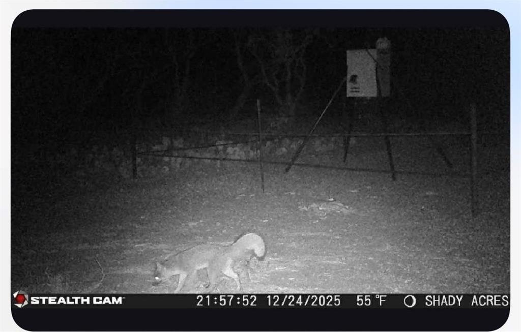 8108 Fm2111 Winters, TX 79567 - Photo 28 of 39