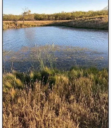 $600,000 | 8108 Fm2111, Winters, TX 79567